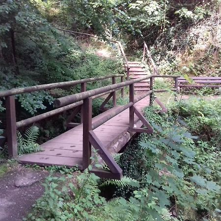 Gaestehaus Viktoria Bad Bertrich Zewnętrze zdjęcie